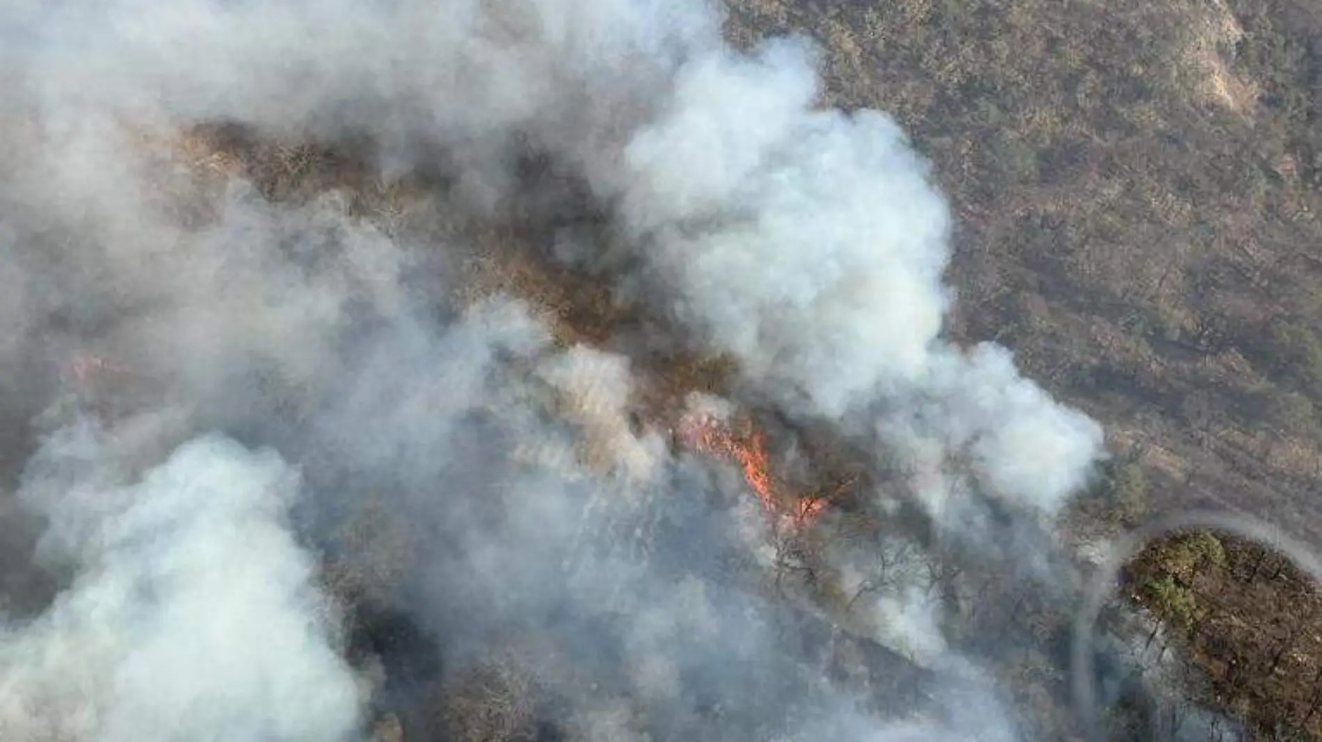 Combate incendio Bosque de la Primavera